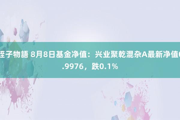 姪子物語 8月8日基金净值：兴业聚乾混杂A最新净值0.9976，跌0.1%
