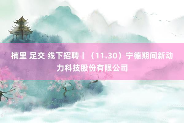 楠里 足交 线下招聘丨（11.30）宁德期间新动力科技股份有限公司