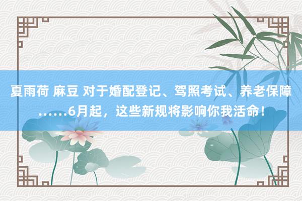 夏雨荷 麻豆 对于婚配登记、驾照考试、养老保障……6月起，这些新规将影响你我活命！