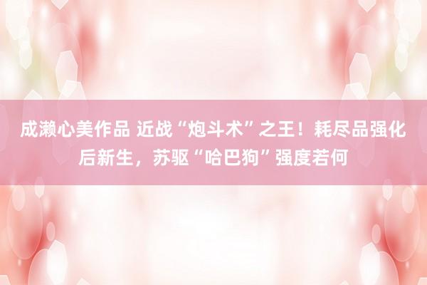 成濑心美作品 近战“炮斗术”之王！耗尽品强化后新生，苏驱“哈巴狗”强度若何