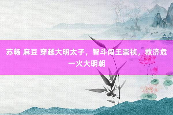 苏畅 麻豆 穿越大明太子，智斗闯王崇祯，救济危一火大明朝
