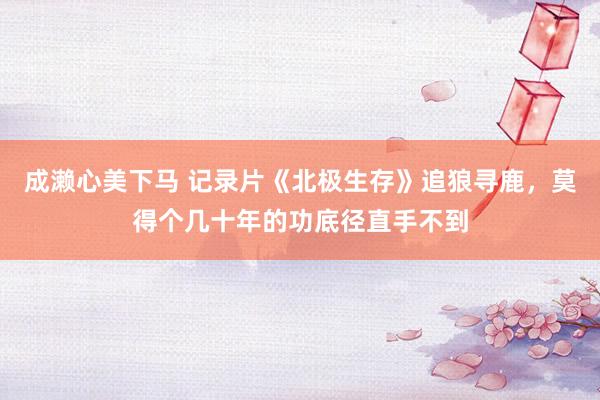 成濑心美下马 记录片《北极生存》追狼寻鹿，莫得个几十年的功底径直手不到
