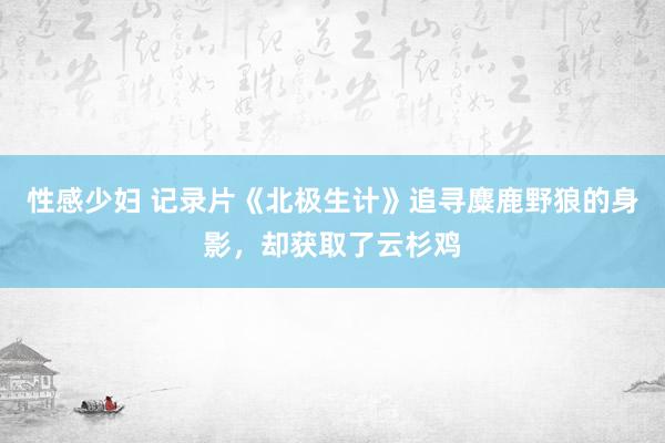 性感少妇 记录片《北极生计》追寻麋鹿野狼的身影，却获取了云杉鸡