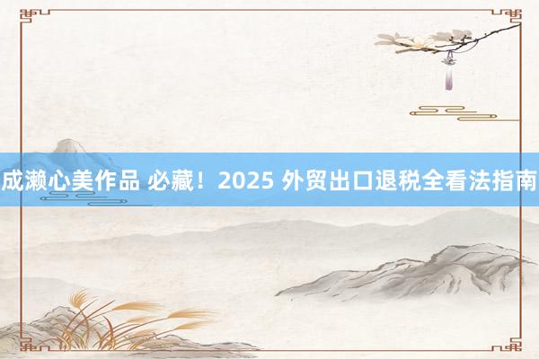 成濑心美作品 必藏！2025 外贸出口退税全看法指南