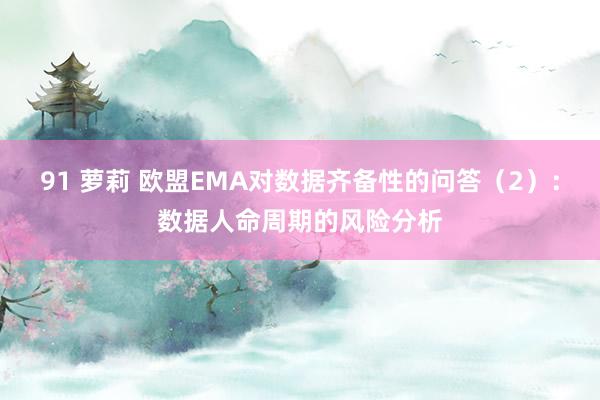 91 萝莉 欧盟EMA对数据齐备性的问答（2）：数据人命周期的风险分析